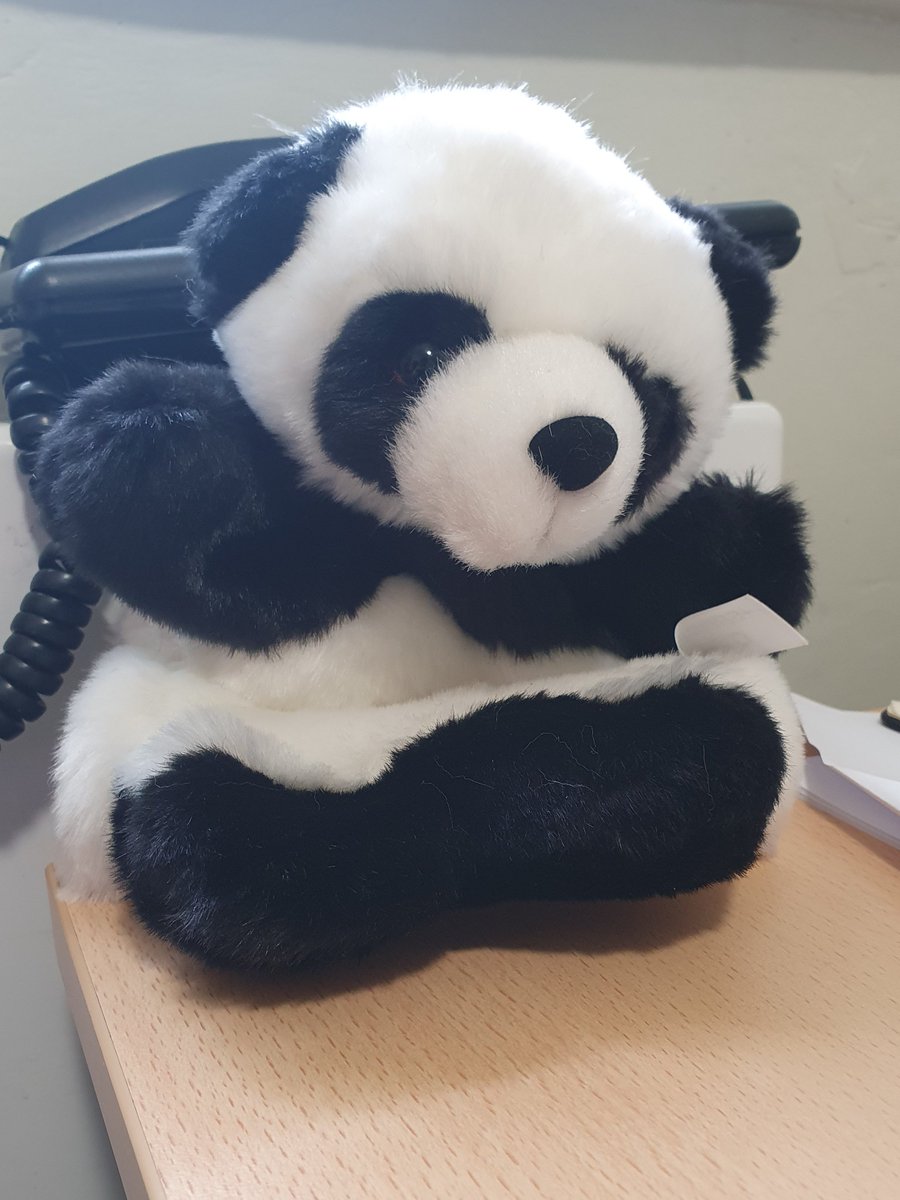 #Bao has made it to <a href="/StonyDean/">Stony Dean School</a>. Where else will they go? #OnLineSafety #safeonline #travellingpanda #makegoodchoicesonline