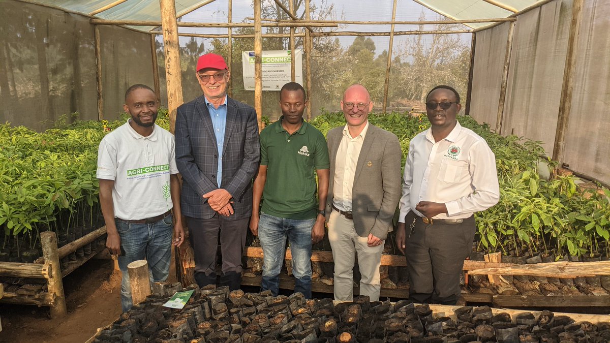Peter Van Acker (@petervanacker2) on Twitter photo So glad to see <a href="/rikoltoBE/">Rikolto (Vredeseilanden)</a> is doing a fantastic job within the EU Agriconnect project. This Belgian NGO is focusing on #nutrition and on the #avocado value chain. "Hakika" which was supported previously by the <a href="/K_B_Foundation/">King Baudouin Foundation</a> provides bio- fertilizer for the #avocados. So glad to see <a href="/rikoltoBE/">Rikolto (Vredeseilanden)</a> is doing a fantastic job within the EU Agriconnect project. This Belgian NGO is focusing on #nutrition and on the #avocado value chain. "Hakika" which was supported previously by the <a href="/K_B_Foundation/">King Baudouin Foundation</a> provides bio- fertilizer for the #avocados.
