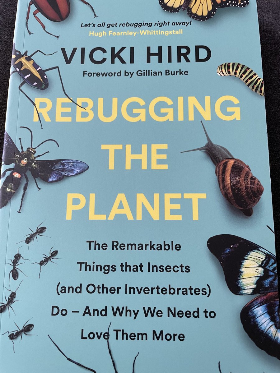 NaomiLWood's tweet image. What a book!  This arrived late yesterday and, as you can see, the first few words of the foreword are enchanting.  Couldn’t put it down!  Thank you, ⁦@vickihird⁩ for a glorious book #bugbook