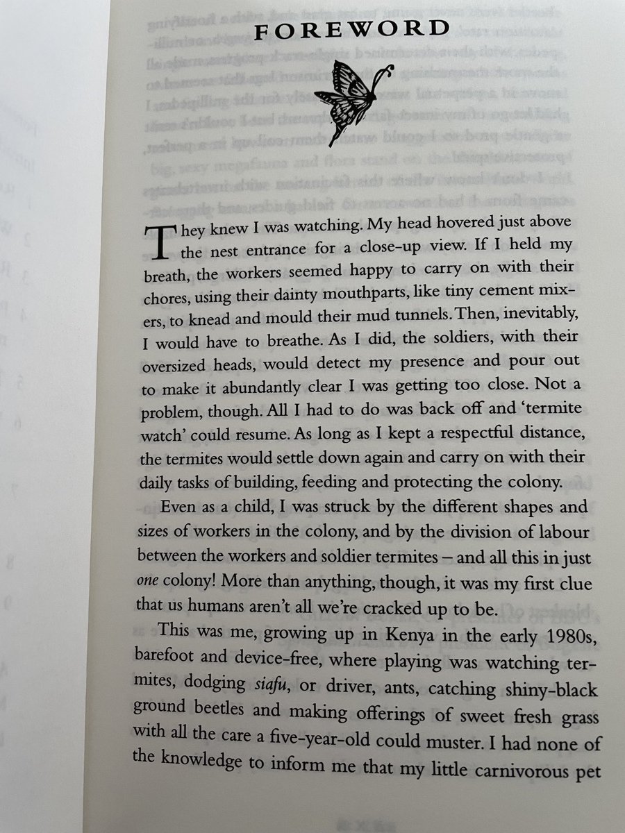 NaomiLWood's tweet image. What a book!  This arrived late yesterday and, as you can see, the first few words of the foreword are enchanting.  Couldn’t put it down!  Thank you, ⁦@vickihird⁩ for a glorious book #bugbook