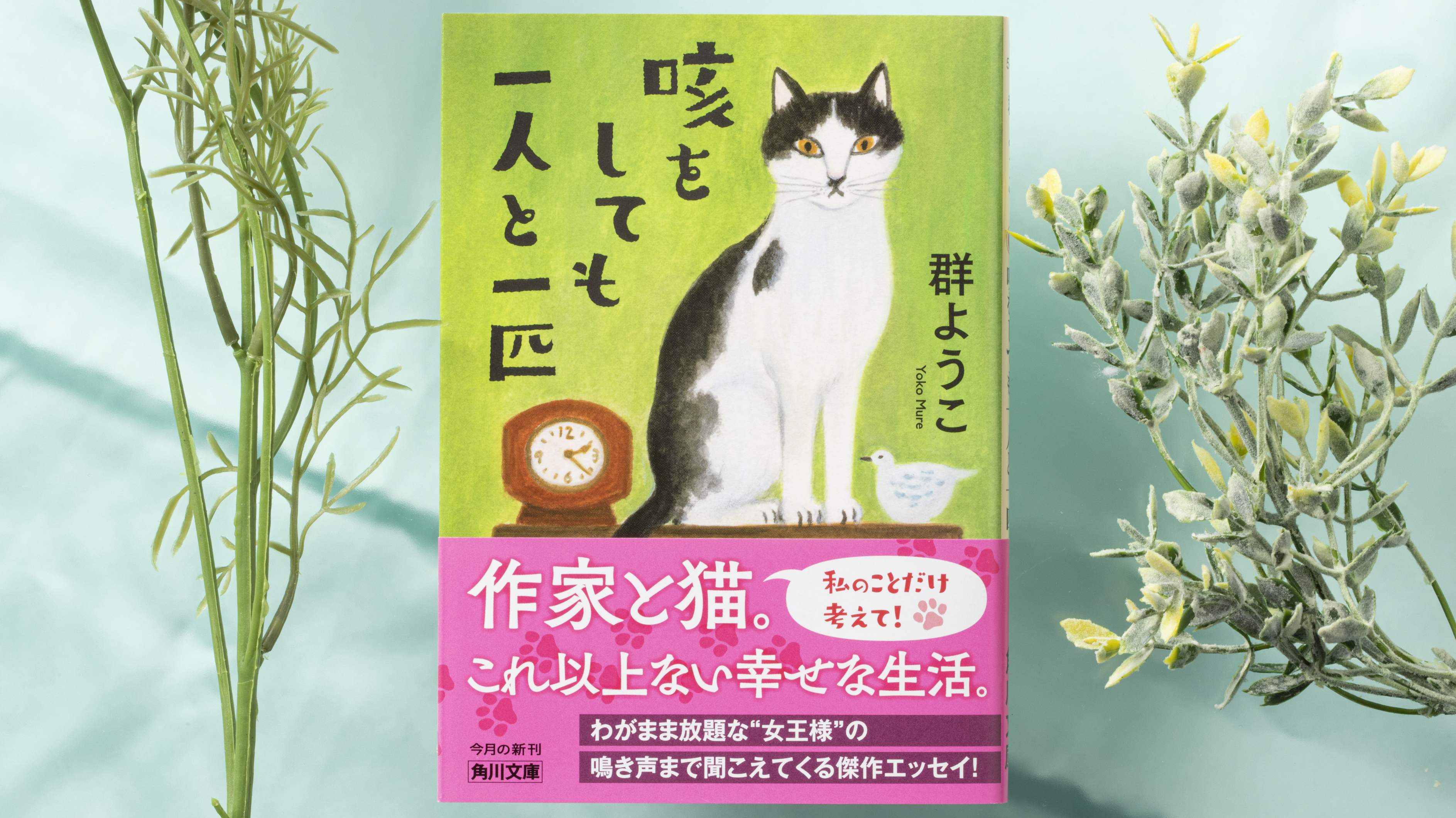 角川文庫編集部 わがまま女王様猫 と暮らす 愛しさ溢れる名作エッセイが文庫化 エッセイの名手 群ようこさんは 19歳の老猫しいちゃんと 一人と一匹 暮らし お互い歳を取ってできることが減っても 可愛さは増すばかりです 咳をしても一人と一匹