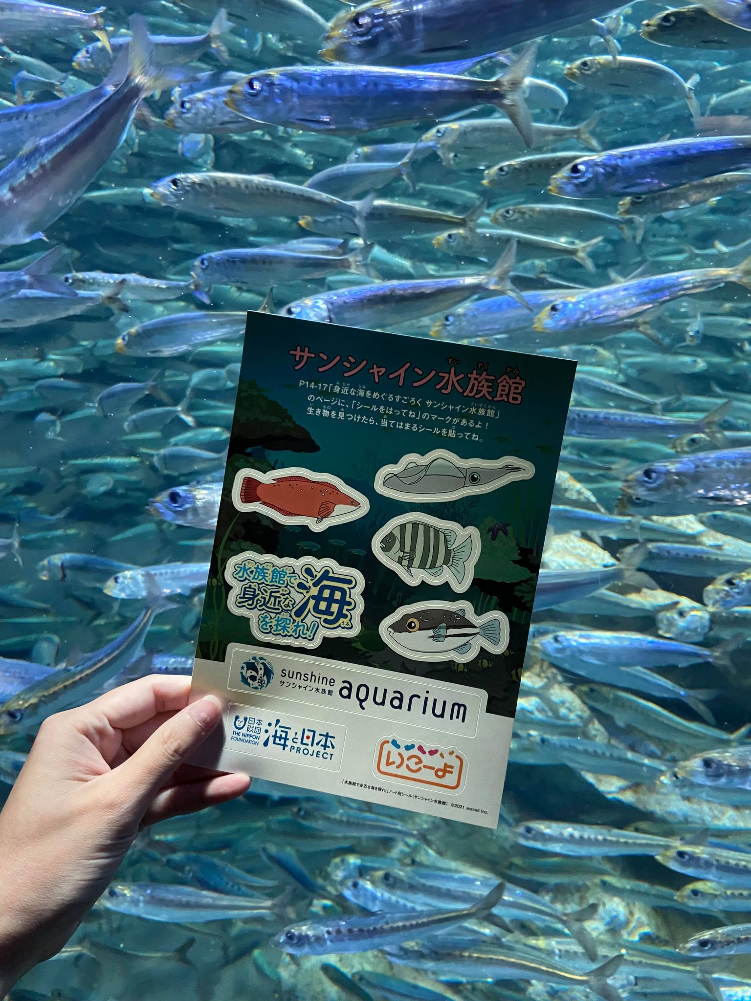 サンシャイン水族館 小学生限定 水族館で学ぶ回遊パス 子どもとお出かけ情報サイト いこーよ から発売中の 関東4つの 水族館 が550円で楽しめる回遊パスに サンシャイン水族館 も参加しています 研究ノート を入手して 水族館での調査に