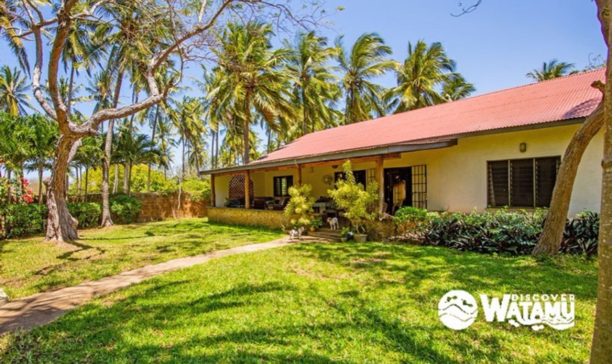 Wonders of Watamu (@wondersofwatamu) on Twitter photo Looking to invest in property in Watamu? Get in touch with <a href="/discoverwatamu/">DiscoverWatamu</a> to see what beautiful houses are available
π΄πͺ΄πΏ
#VisitWatamu #MagicalKenya #Watamu #Kenya #KenyaCoast #TembeaKenya #SeeKenya Looking to invest in property in Watamu? Get in touch with <a href="/discoverwatamu/">DiscoverWatamu</a> to see what beautiful houses are available
π΄πͺ΄πΏ
#VisitWatamu #MagicalKenya #Watamu #Kenya #KenyaCoast #TembeaKenya #SeeKenya