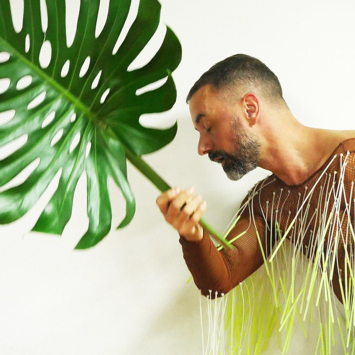 PlantHums_UK's tweet photo. #PlantThinking #PlantStories "HUNDREDS + THOUSANDS (MULTI-CITY):GERMINATION" Digital workshops enlisting the participation of #plants as collaborators, mediators and audience 24/09–20/10. Artists #DanielKok &amp; #LukeGeorge https://t.co/1qihjSbCcF @RHGeoHumanities @KewScience https://t.co/q5I36dHu23
