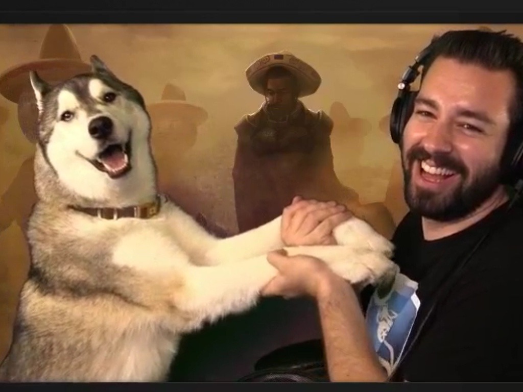 TacitoBurito's tweet photo. @GassyMexican Malcolm is literally the only dog I see a pic of and it actually brings me joy (I'm a cat person). He is such a handsome boy and he knows it! Speaking of, here's my fav pic of Malcolm... https://t.co/Bo2PXc66hT