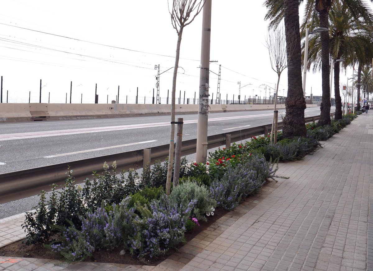 ✔️Tall festiu i reivindicatiu del Camí ral
📅Diumenge, 19 de setembre
⌚️De 10 a 14 h.
ℹ️L'objectiu del tall és reivindicar la pacificació de l'NII i la seva conversió en una via cívica. #PremiàDeMar