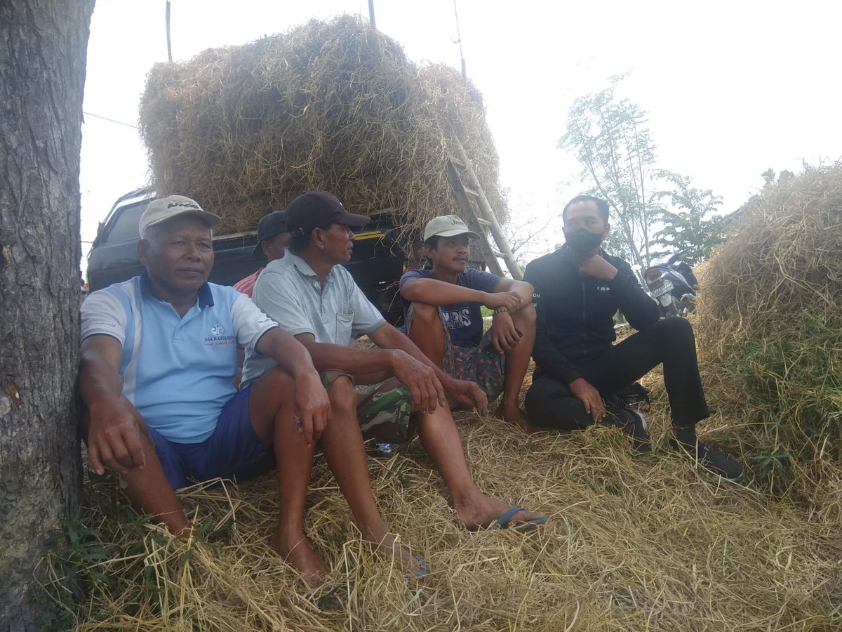 Suprapto_Kiki's tweet photo. Kamis, 16/9/2021 Suprapto luhkan Kab.Lamongan,
Kunjungan Persiapan lahan sawah tambak Pokdakan Rukun makmur Ds. Dlanggu Kc. Deket Kb Lamongan
#luhlapor #Lamongan #GiatLuhkanSatminkalBWI @bppp_banyuwangi @brsdm_kp @diskanlmg @aRochadiyan @puslatluhkp https://t.co/TCpZtLMudW