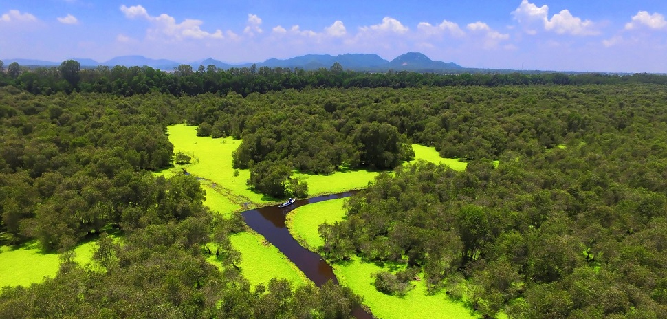 peuplesdumekong's tweet photo. La forêt inondée de Tra Su 
La Province d’An Giang est une destination fascinante dans le Delta du Mékong et la forêt inondée de Tra Su y est certainement pour quelque chose ! 
https://t.co/n2ZcGy1zP7 https://t.co/eiYuWR5ESL