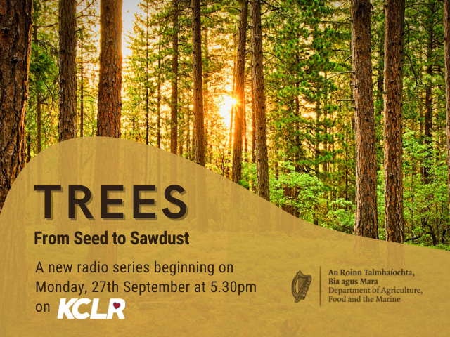 kclr96fm's tweet photo. What do you know about trees? Take our survey and be in with a chance to win €50! Link to the survey here: https://t.co/9McAPCYKMn https://t.co/vuGepSPmr1