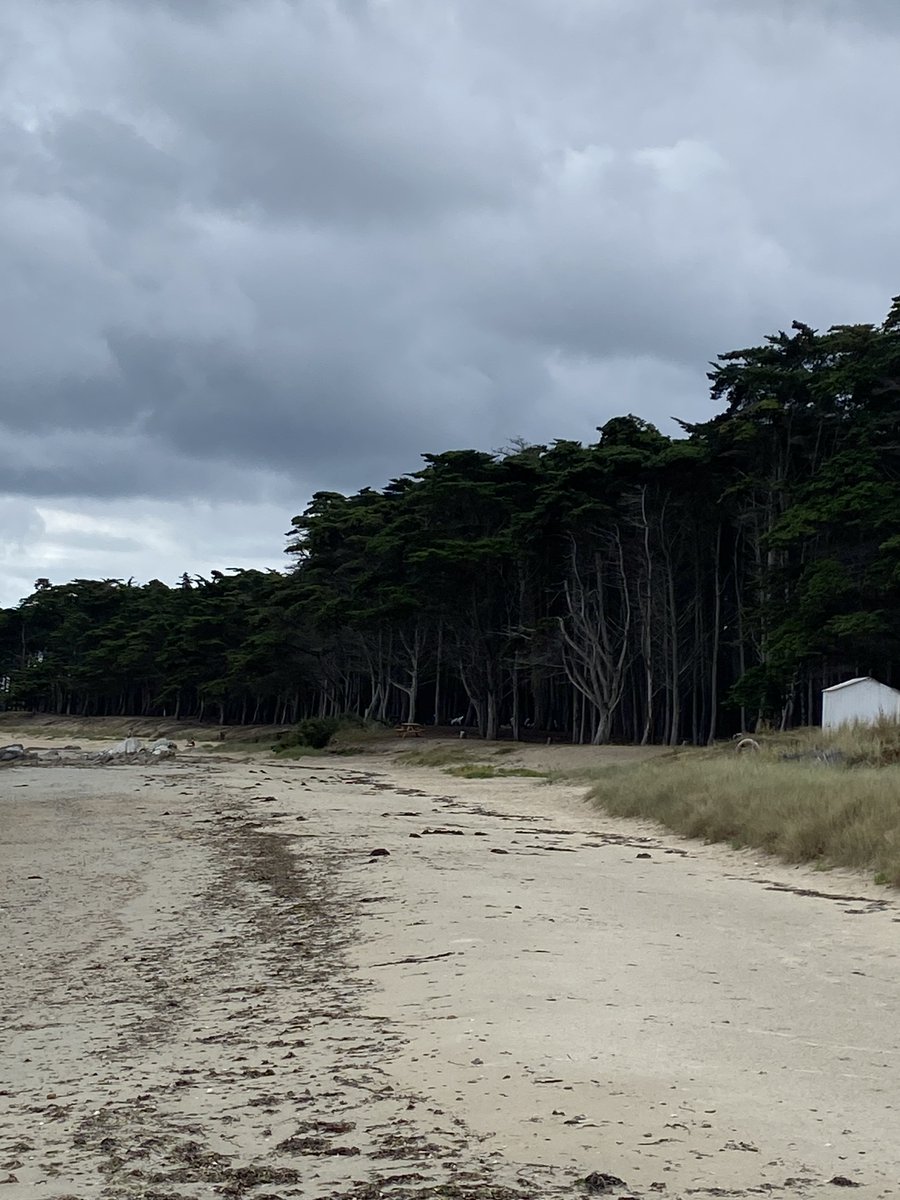 YeuVoyage's tweet photo. Petit souvenir de l'île d'Yeu par nos jeunes recrues
#iledyeu #travelphotography #vendée #Voyage https://t.co/1wjYkCeNz1