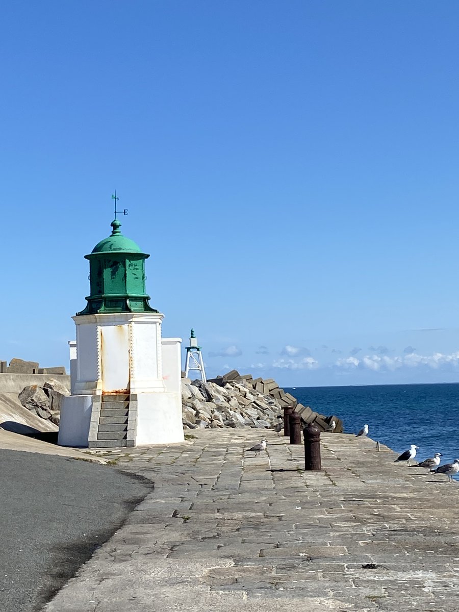 YeuVoyage's tweet photo. Petit souvenir de l'île d'Yeu par nos jeunes recrues
#iledyeu #travelphotography #vendée #Voyage https://t.co/1wjYkCeNz1