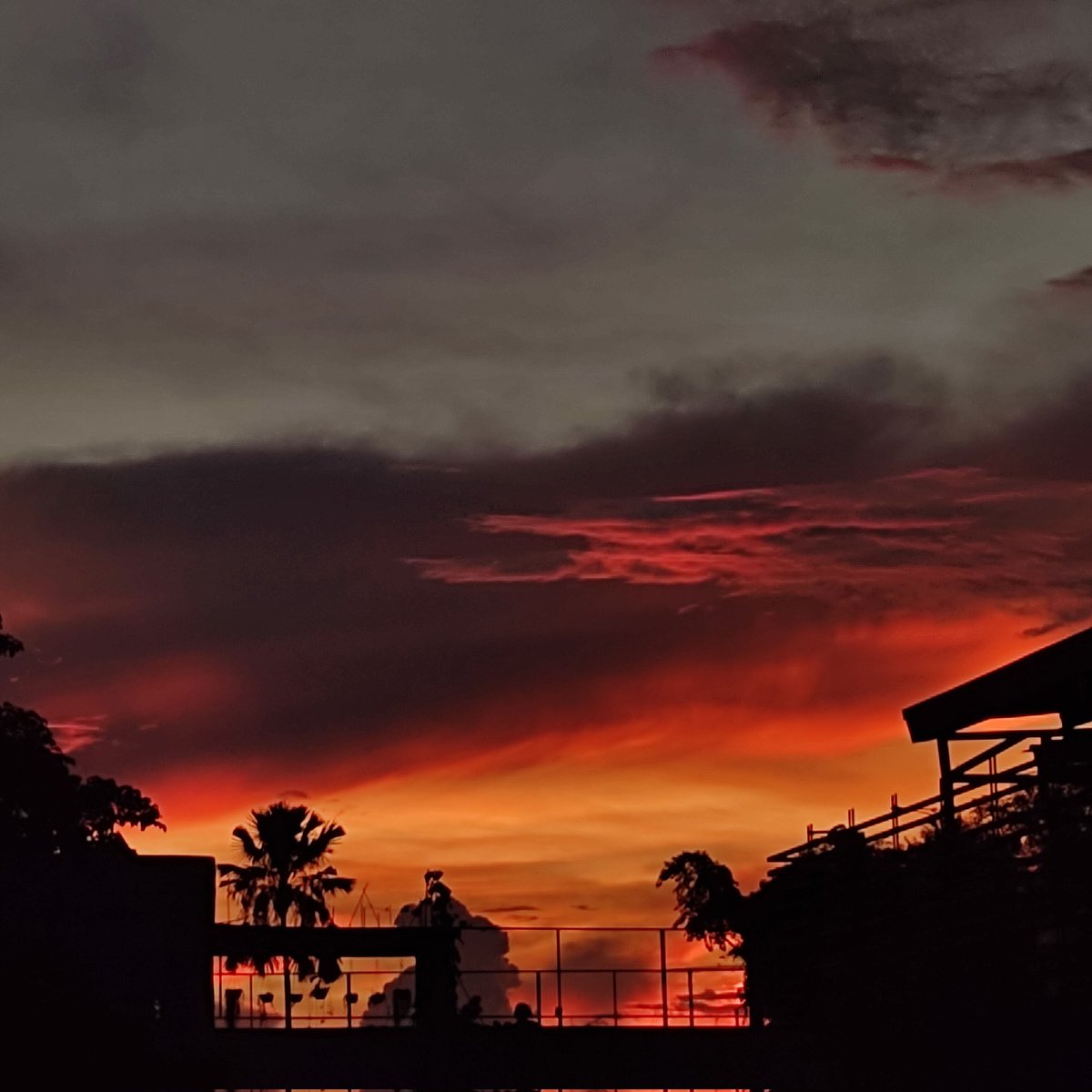 patrick_canoy's tweet photo. #NewProfilePic https://t.co/j0hwM1Q6zi