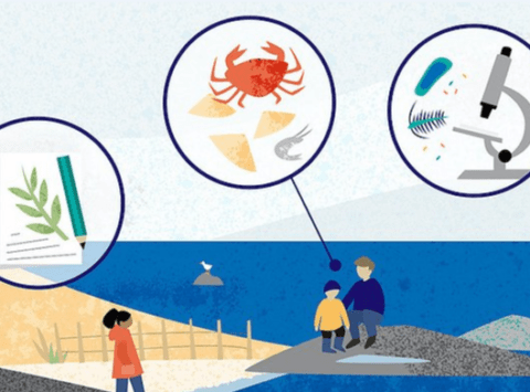 🌊 La Fondation d’entreprise Grand Ouest lance son 3ème appel à projets pour soutenir les initiatives citoyennes autour du littoral et de la mer. buff.ly/3C7hhOo
 🗓 La date limite du dépôt de candidature est fixée au 31 octobre 2021.