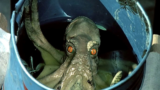 attackplanetb's tweet photo. "Horror heap from the nuclear trash!" 🐙
@Ken_Wynne reviews #Octaman (1971), directed by #HarryEssex. Rubbery monster costume created by @TheRickBaker and #DougBeswick.
https://t.co/mASyF4o82D https://t.co/mgxlKp0tZI