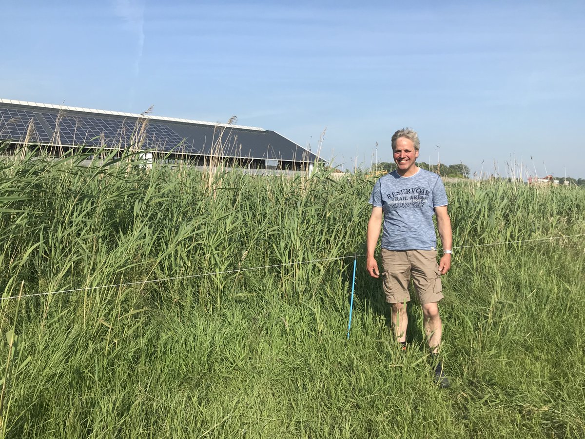 ToekomstGLB's tweet photo. Frank de Wit, melkveehouder in Oosthuizen, wilde zijn steentje bijdragen door mee te doen aan de #glbpilot Waterrijke Veenweidegebieden. Wat waren zijn ervaringen? https://t.co/ozg98Z0Sa1 https://t.co/crX6IYqxSk