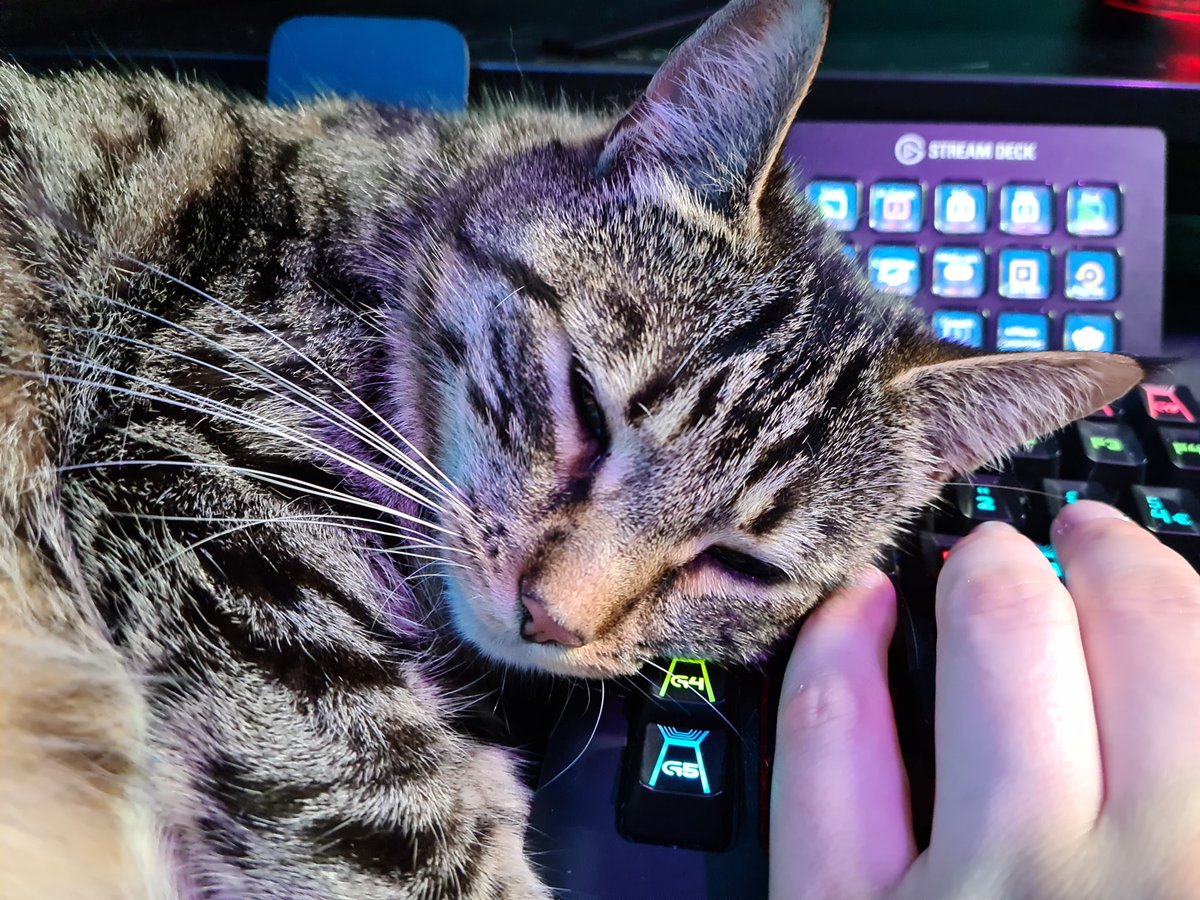 Ebuyer's tweet photo. We love pets, but we love pets with tech even more! 🐈🐹🐕

Thank you to Anna, Zoe, Ryan and The VR Gamer for sending these in! 

Do you have a pet who loves tech just as much as these? 

Submit your entries below and we will pick the best ones next week! 👇 

#PetsWithTech https://t.co/92KZAPrQXd