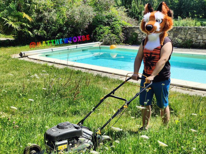 Foxxo is taking care of the garden :3  Happy #FursuitFriday everyone ! https://t.co/g3IVkPd51N<a href="/tag/fursuitfriday"class="tags">#FursuitFriday</a>