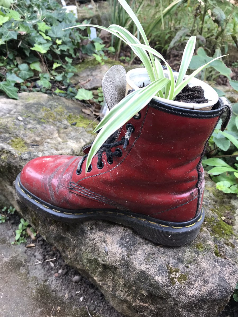 hvmitch76's tweet photo. You don’t have to tell me to #gopotty @DerbysWildlife as you know I already am!! Here are some of my own #reused pots &amp; boots &amp; a toilet in my wildlife garden 😆 I created a #coffeegardeningclub reusing compostable #coffeecups as flowerpots 💚 https://t.co/u4LY1zz3eJ