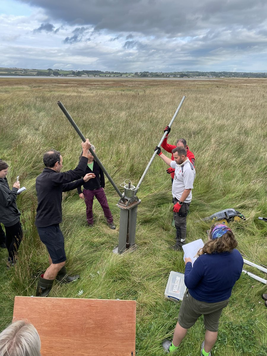 mart Austin tweet media