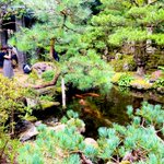 創業1300年 粟津温泉 法師のツイート画像