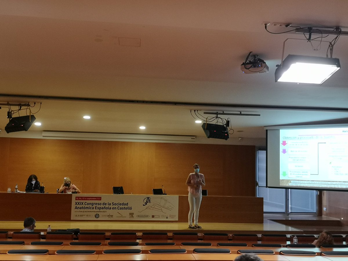 Anatomía Castellón 2021 tweet media