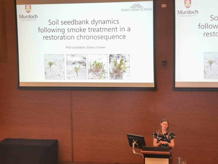 Ebony Cowan (@ebony_cowan) on Twitter photo 2021-09-17 09:36:01 Awesome to be able to present findings (in person!) on changing soil seedbank dynamics following a smoke treatment in a restoration consequence! Cheers @RachelJStandish @_bpmiller @joe__fontaine @MurdochUni #TheBioCon #banksiawoodland #restoration Awesome to be able to present findings (in person!) on changing soil seedbank dynamics following a smoke treatment in a restoration consequence! Cheers @RachelJStandish @_bpmiller @joe__fontaine @MurdochUni #TheBioCon #banksiawoodland #restoration