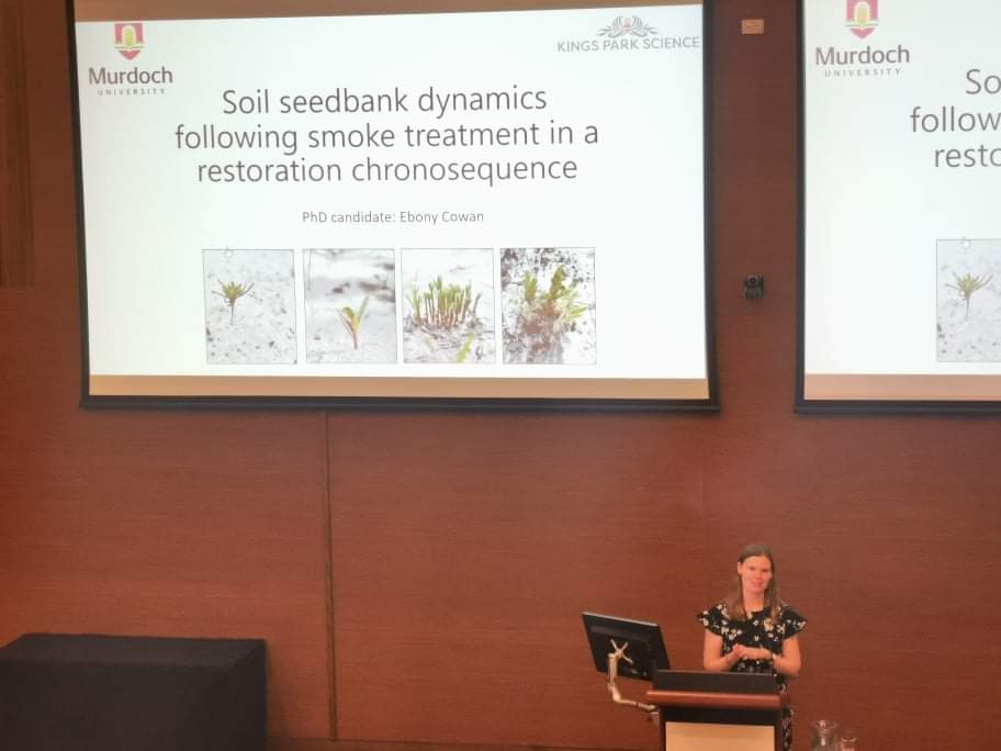 Awesome to be able to present findings (in person!) on changing soil seedbank dynamics following a smoke treatment in a restoration consequence! Cheers @RachelJStandish @_bpmiller @joe__fontaine @MurdochUni #TheBioCon #banksiawoodland #restoration