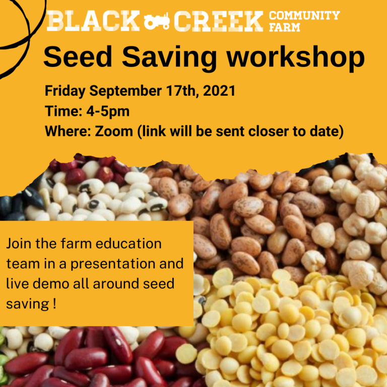TCBN_TO's tweet photo. #UrbanAgricultureWeek is underway in Toronto. Join us and @TOurbangrowers at the @BCCFarm Seed Saving Workshop and other city-wide events happening Today. Learn, Connect and Register. Learn more https://t.co/jt8fesIlmy #iGrowTO #uaweekto #nexgenbuilders https://t.co/WgXtWJvVeG