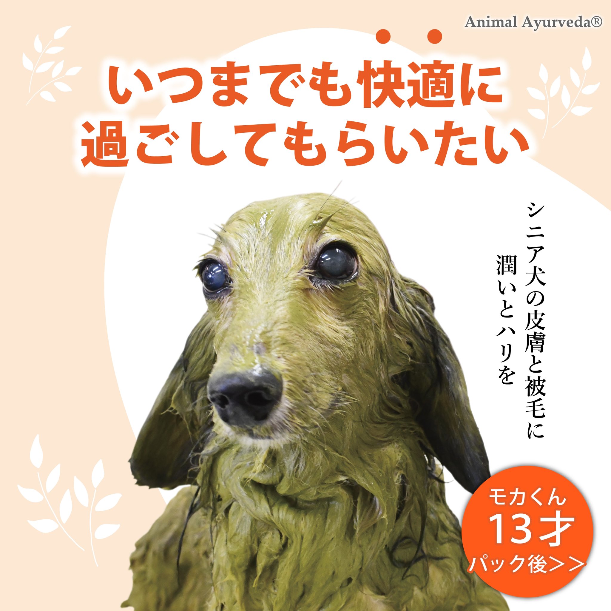 Herbpackjpn Herbpackjpn Twitter
