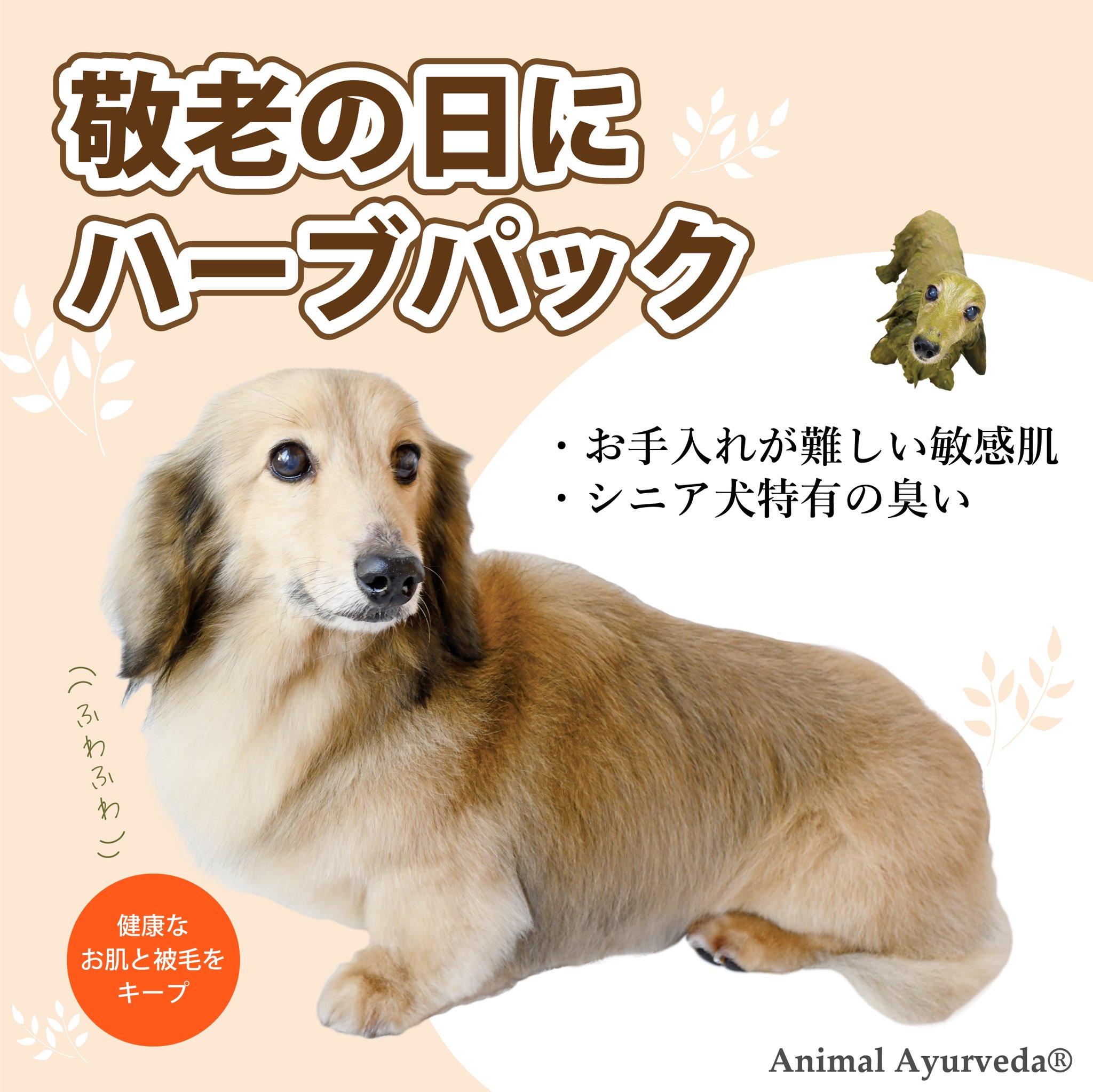 Herbpackjpn Herbpackjpn Twitter