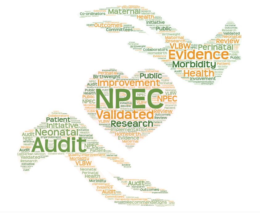 National Perinatal Epidemiology Centre tweet media