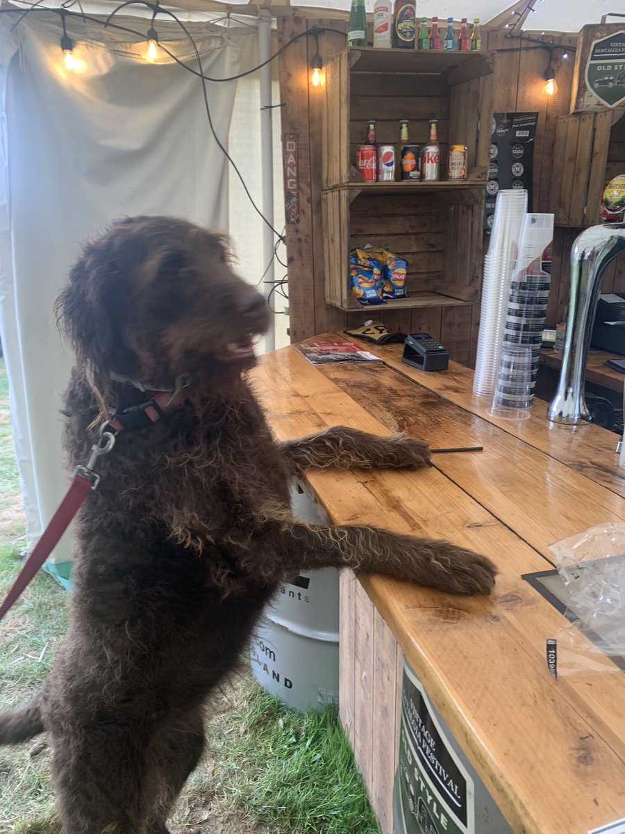 Busy_Books's tweet photo. #nearlytheweekend #timeforadrink #stolethedog #weekendmood #FridayVibes #nostalgia @RingwoodBrewery @HireStandardsUK https://t.co/UXTIDWM0Cy