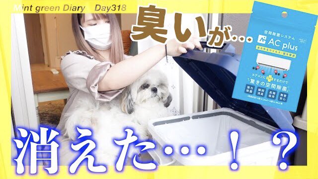 Mint_ShihTzu's tweet photo. 318日目の動画日記📺✨
New youtube video for Day318
実は、ミントくんのおしっこシートや💩を捨ててるゴミ箱が凄まじく臭くて悩んでました😱w
そこで、超強力消臭剤『AC plus』を試してみたところ、ミントファミリーも驚きの結果が!😳💨
⬇️動画はこちら⬇️
https://t.co/sq2w4iQgt4
#ACplus #癒し https://t.co/m68gEX9HDw