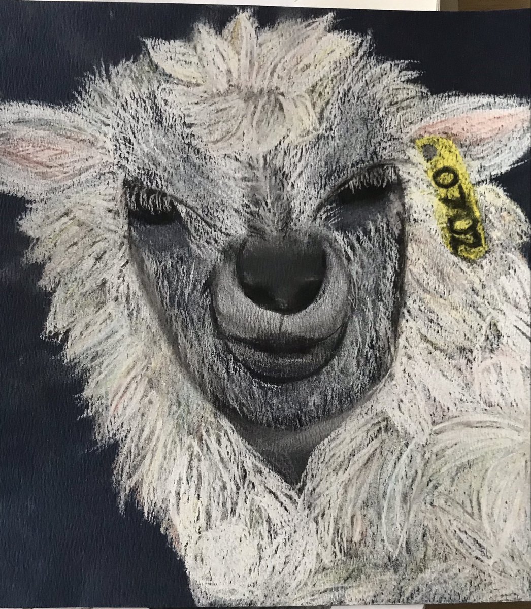 CAFSSHS's tweet photo. Just a cheery wee sheep drawn by one of our Adv Higher Pupils to brighten your day. Youโre welcome #Ststephenshs https://t.co/rUmk42SJw5