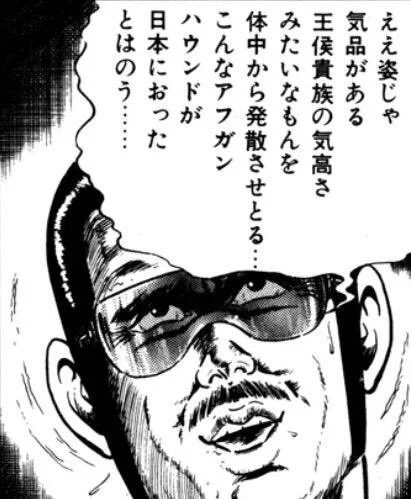 @chochan888 素晴らしい😀もはや犬種を間違えるレベル🐕‍🦺 