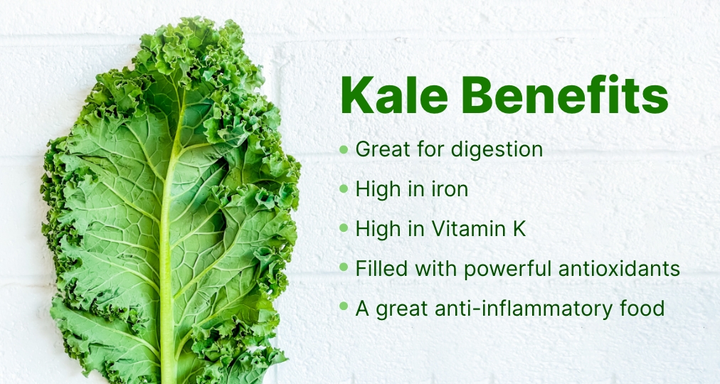 UK Juicers on Twitter: "#Kale has many benefits to your body - something to definitely include in your recipes! https://t.co/sDxlsf4BVk" / Twitter