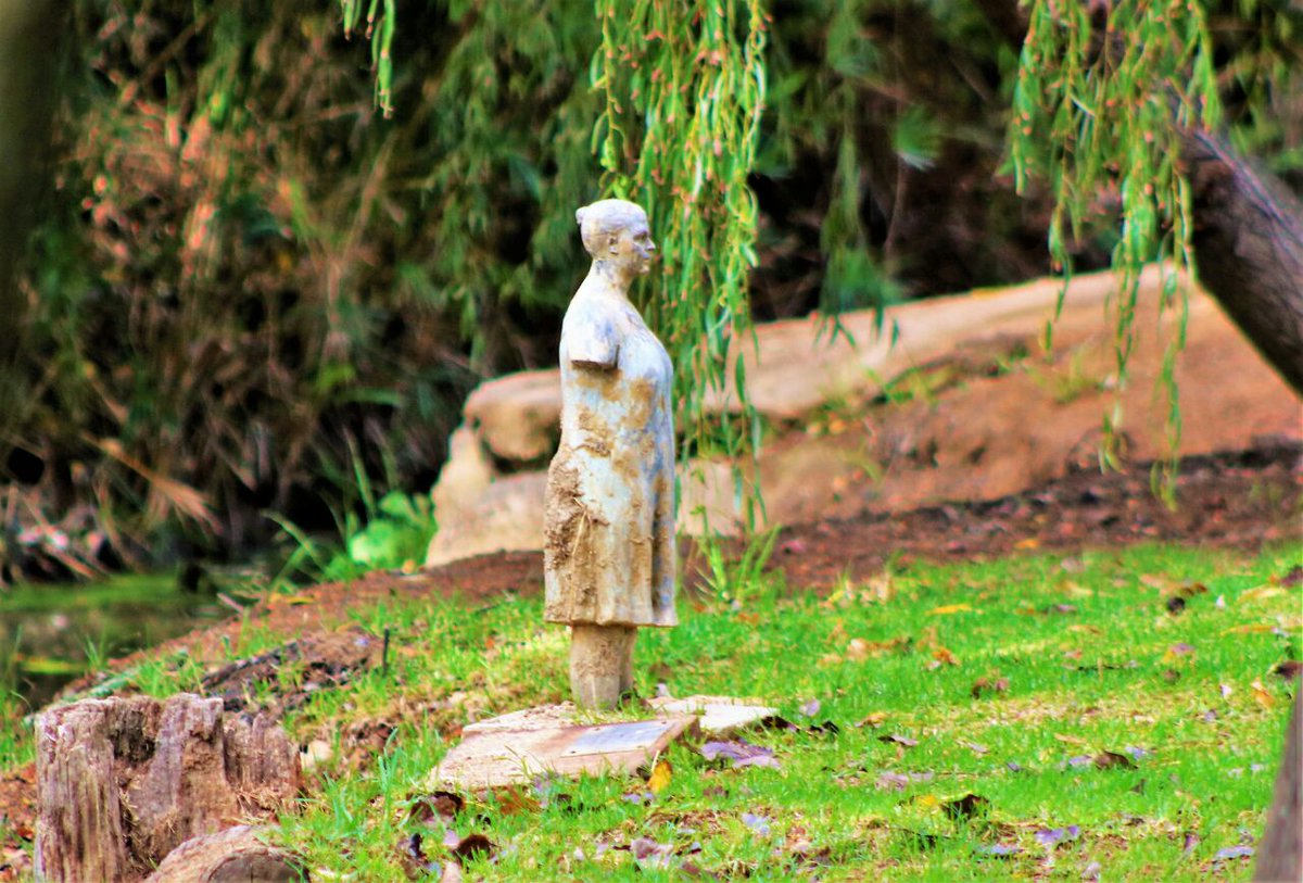 Are you a lover of unique sculptures? Our estate offers various unique and eye-striking pieces scattered throughout. Learn all about our art by checking out weltevredenestate.com/art. 

#suportthearts #capewinelands #luxuryguesthouse #weekendsaway #stellenbosch