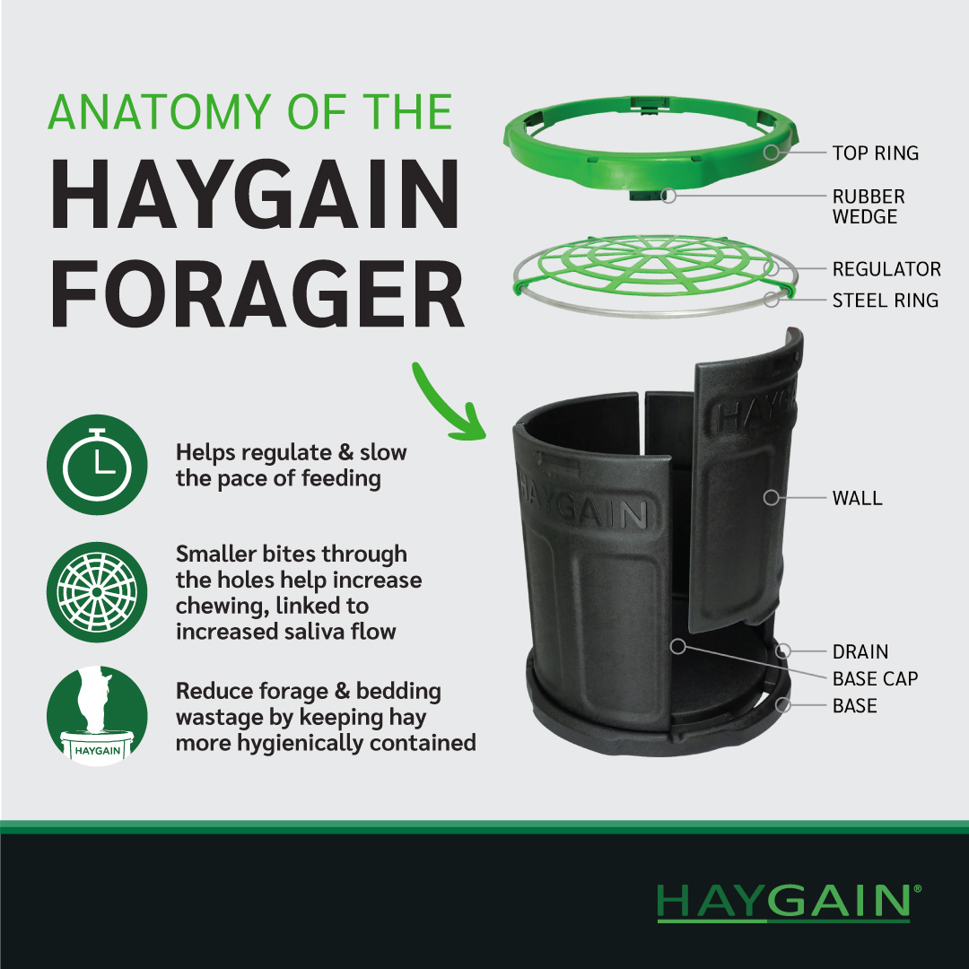 Take a closer look at the anatomy of The Haygain Forager!

#haygain #thehaygainway #theforager #productbreakdown #horsehealthproducts