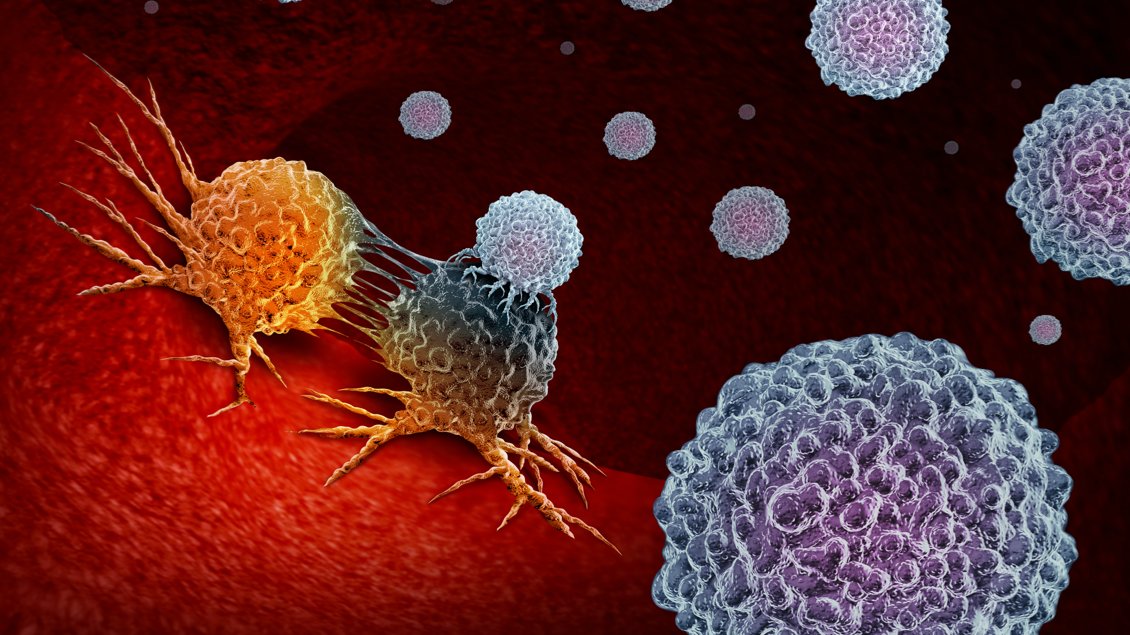 GENEWIZ Europe, By Azenta Life Sciences (@genewizeu) on Twitter photo Scientists at <a href="/bmsnews/">Bristol Myers Squibb</a> leveraged anti-CD47 antibodies to activate innate immunity and promote #cancer cell destruction by #macrophages. Read the article via <a href="/NaturePortfolio/">Nature Portfolio</a> here: hubs.ly/H0XtXvq0 #BrooksLifeSciences Scientists at <a href="/bmsnews/">Bristol Myers Squibb</a> leveraged anti-CD47 antibodies to activate innate immunity and promote #cancer cell destruction by #macrophages. Read the article via <a href="/NaturePortfolio/">Nature Portfolio</a> here: hubs.ly/H0XtXvq0 #BrooksLifeSciences