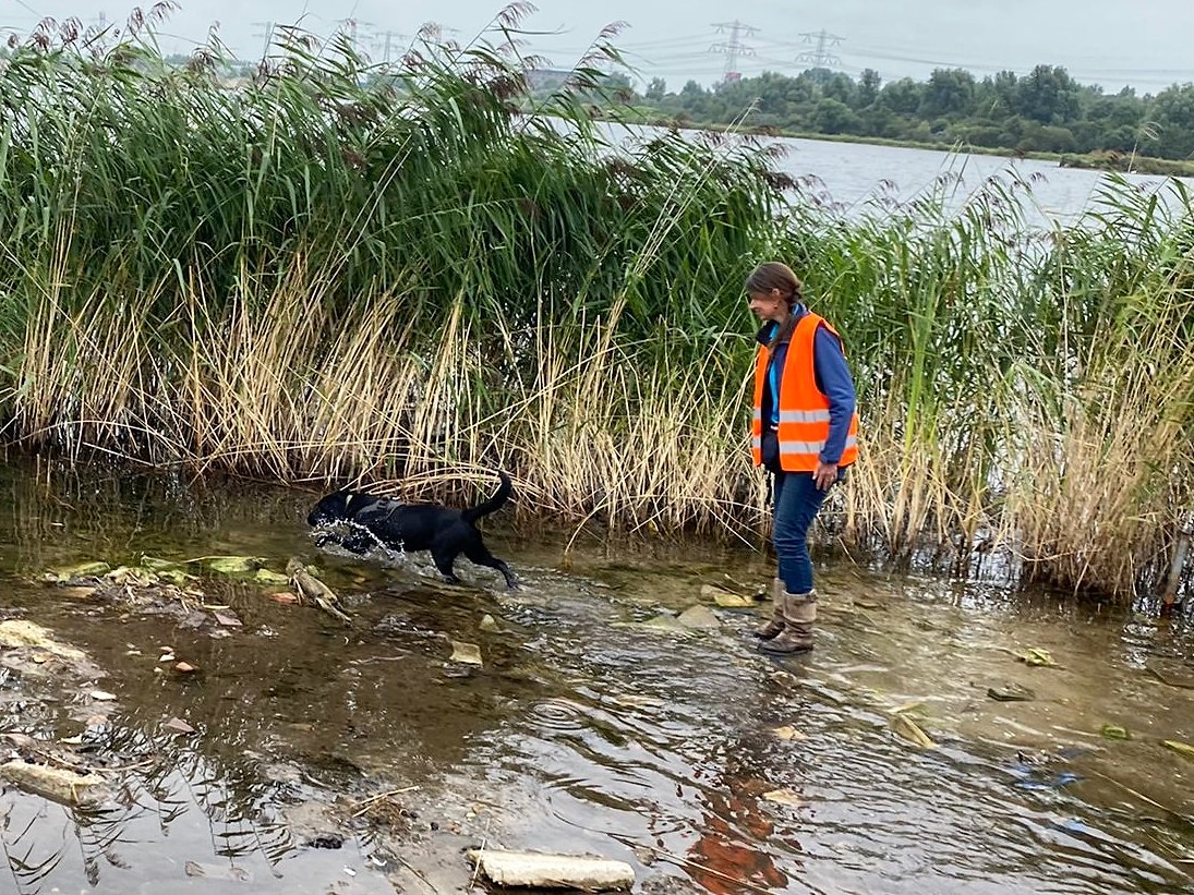 Assistentie van een speciaal getrainde hond bij de bestrijding van invasieve soorten.