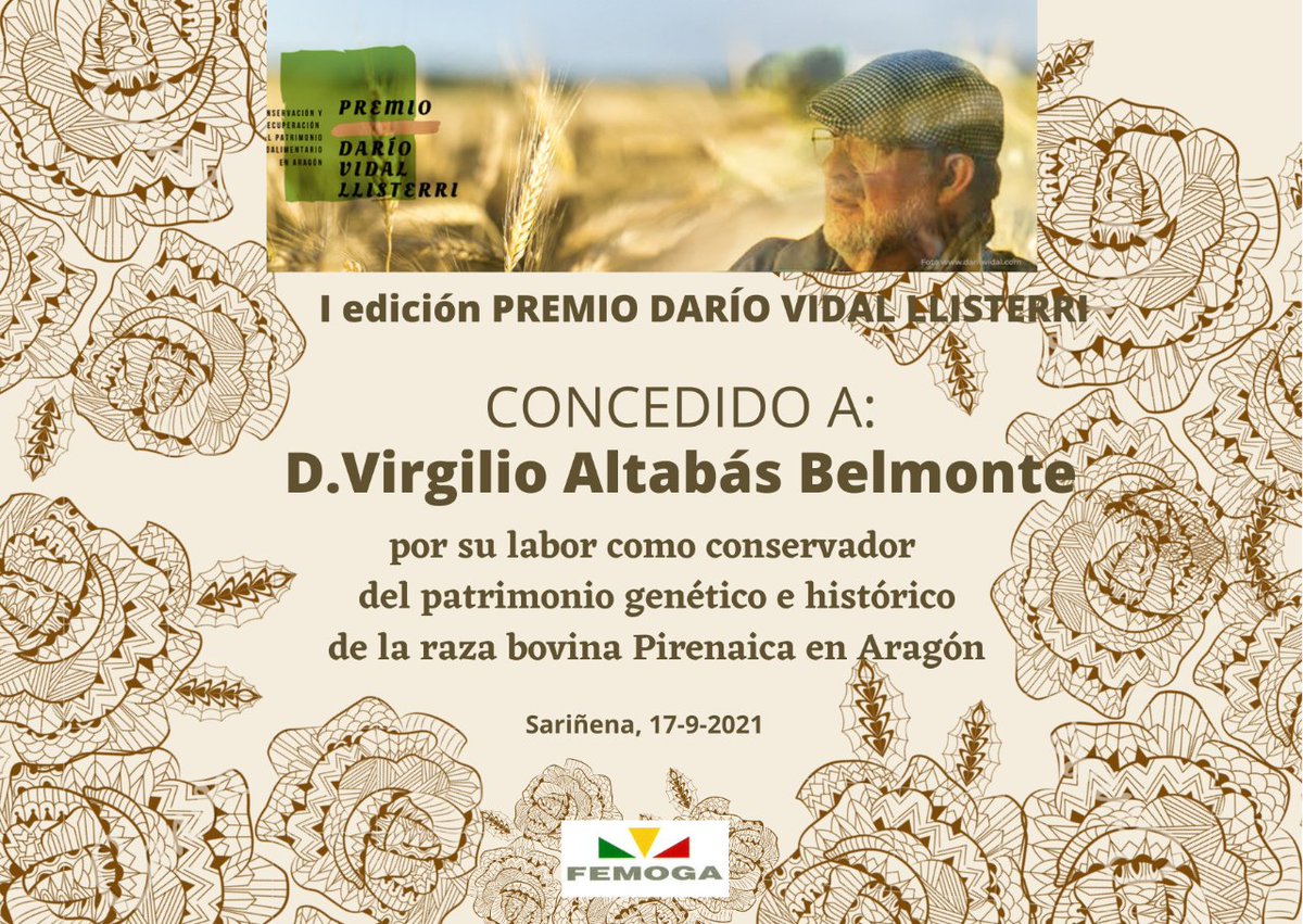 FEMOGA SARIÑENA tweet media