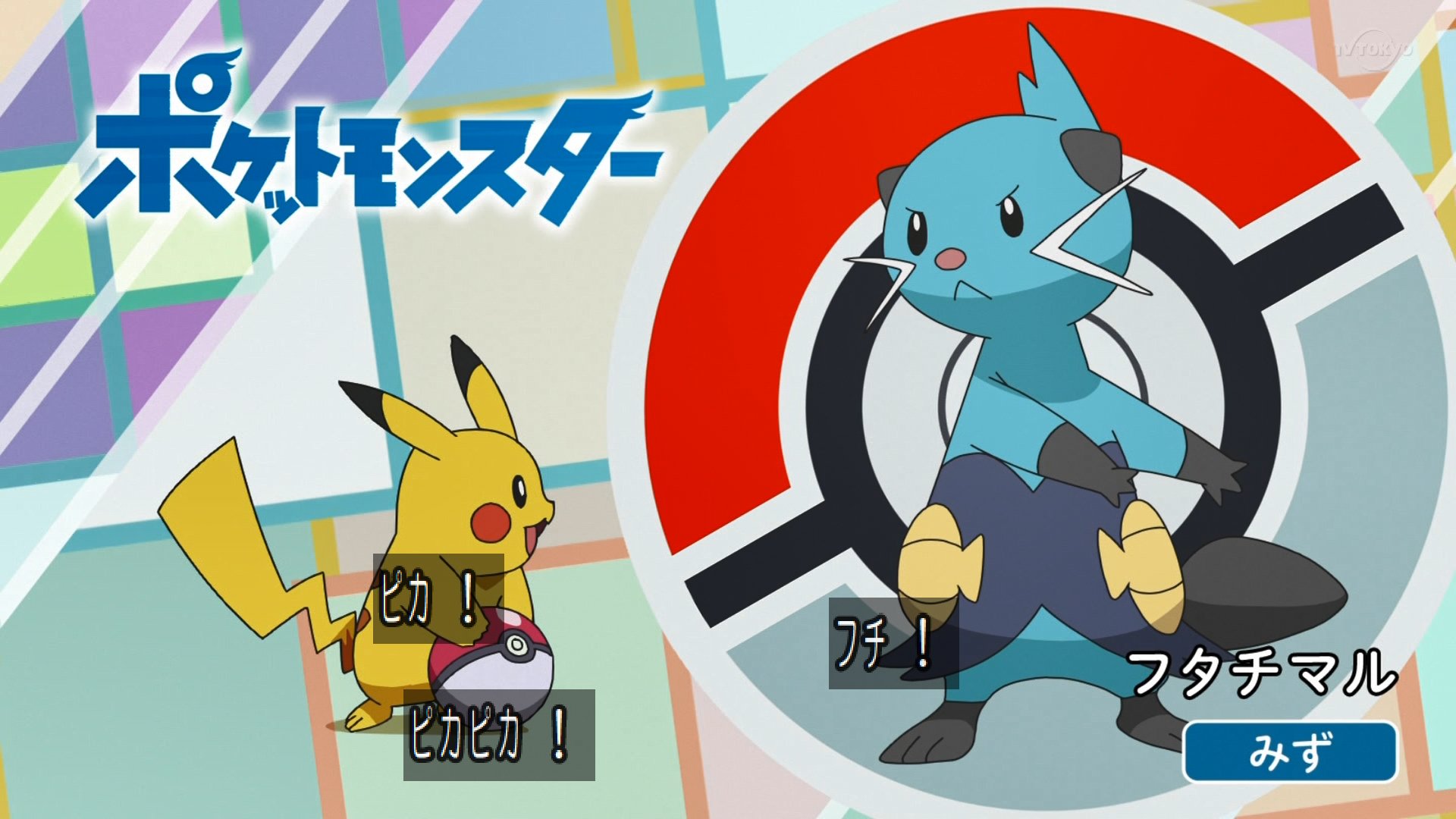 と ずん 正解はフタチマル Anipoke アニポケ T Co G8d50vyxs5 Twitter