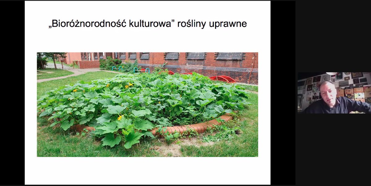 Pro Silesia 🇪🇺🇵🇱 tweet media