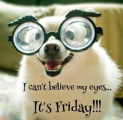 Orla Ryan tweet media