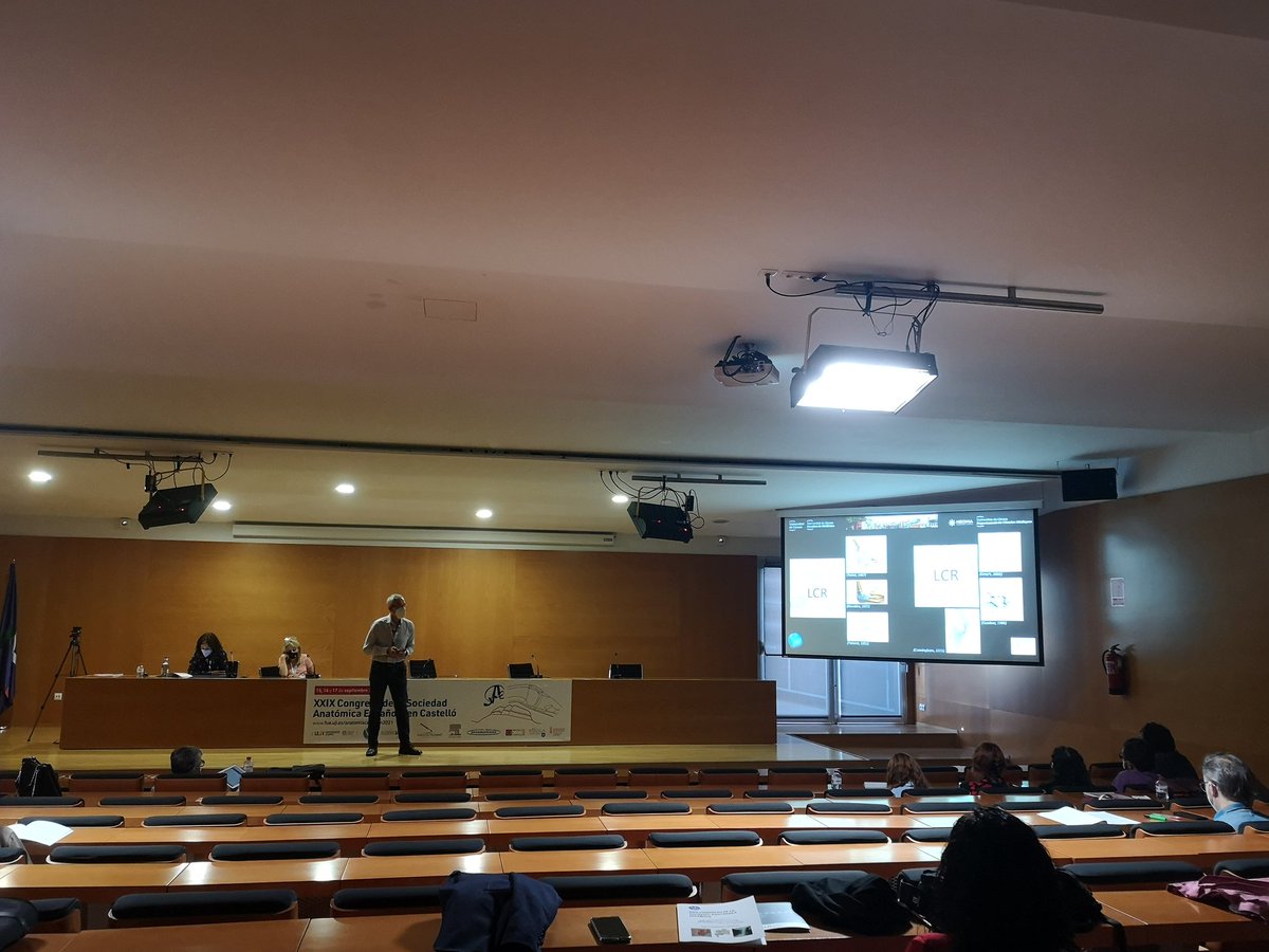 Anatomía Castellón 2021 tweet media