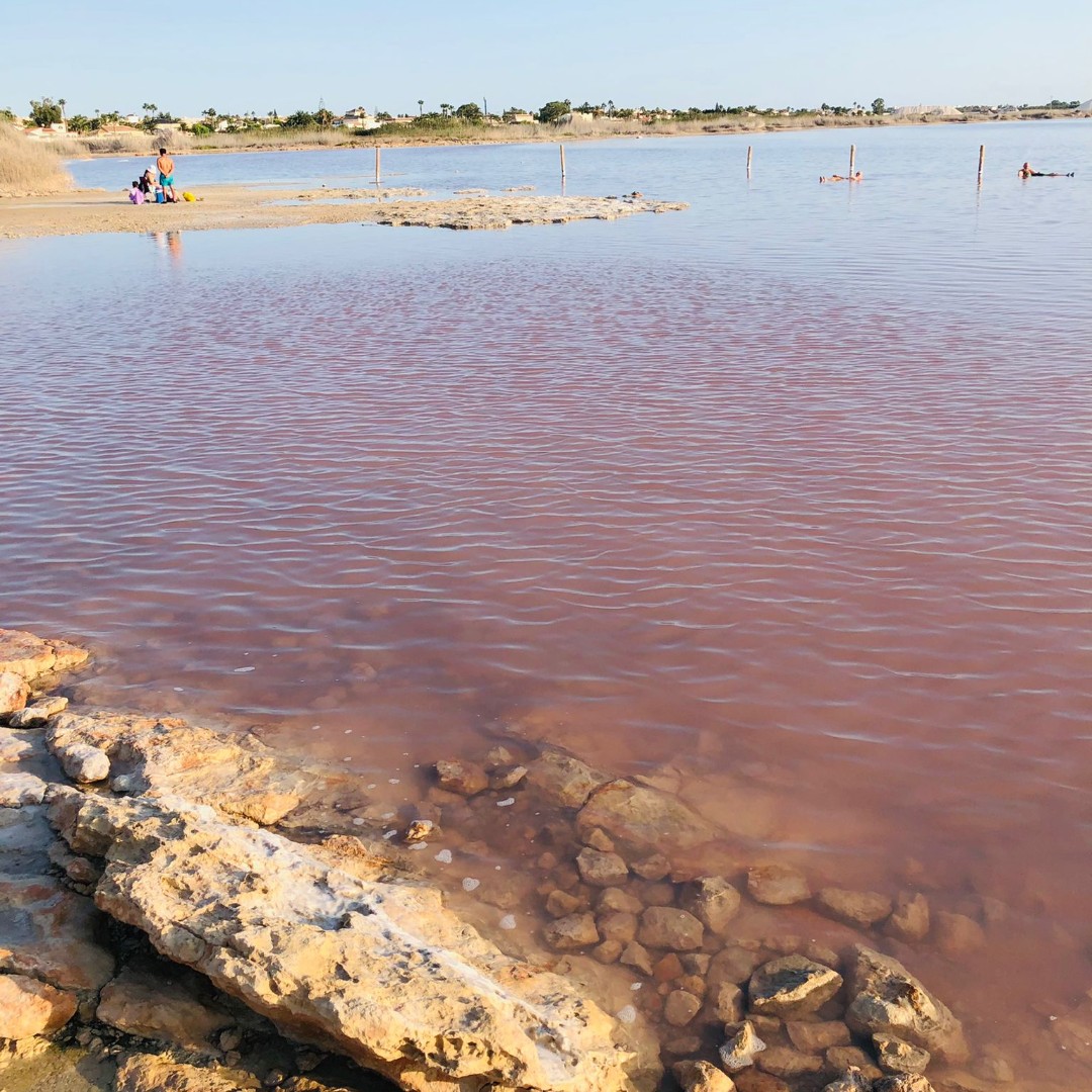 El fin de semana pasado algunos alumnos de nuestra escuela de español en Alicante fueron al parque natural de las Lagunas de la Mata en Torrevieja.
Son unas lagunas saladas muy conocidas por su hermoso color rosa.

¡Definitivamente vale la pena ir allí! 😍🤩