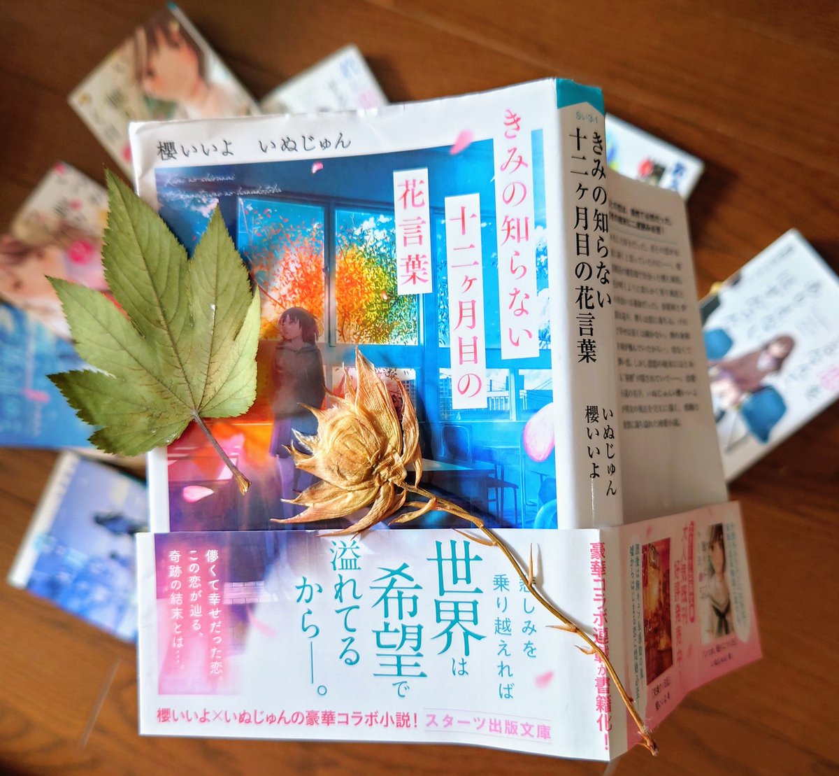 Top Tweets For きみの知らない十二ヶ月目の花言葉 Twstalker Top Tweets For きみの知らない十二ヶ月目の花言葉 Twstalker