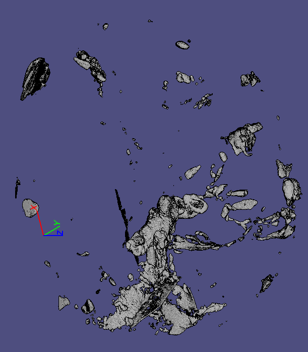hugogill's tweet photo. micro CT scan rendering of large 3 dimensional dino birds is now in progress with numerous evolutionary stages being archived and scans being prepared for Open Source Paleo project.
https://t.co/lchuDtG2FK
#fossilfriday #dinobird #amber #burmite #paleo #paleontology #evolution https://t.co/QHkgRVQeMP