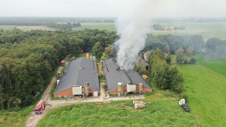 Uitslaande brand in stal bij boerderij Mantinge, lot van 300 varkens nog onbekend: In een stal op een boerderij in Mantinge woedt een uitslaande brand.
