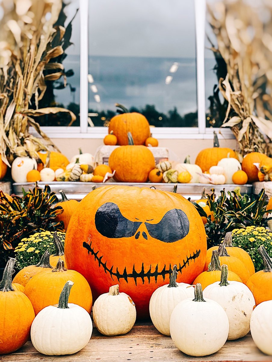 Scottsboro Pro Desk (@proscottsboro) on Twitter photo 🎃THE PUMPKIN KING HAS ARRIVED! 🎃
PA EMILIA AND PASA DELISA DOUBLING UP AND HELPING ON THE MERCHANDISING SIDE OF THE BUSINESS!!
<a href="/JDepot0812/">JoshDay@0812</a> <a href="/misshd03/">Megan A. Coleman</a> @jtrievespro <a href="/JHW1077/">JW</a> 🎃THE PUMPKIN KING HAS ARRIVED! 🎃
PA EMILIA AND PASA DELISA DOUBLING UP AND HELPING ON THE MERCHANDISING SIDE OF THE BUSINESS!!
<a href="/JDepot0812/">JoshDay@0812</a> <a href="/misshd03/">Megan A. Coleman</a> @jtrievespro <a href="/JHW1077/">JW</a>